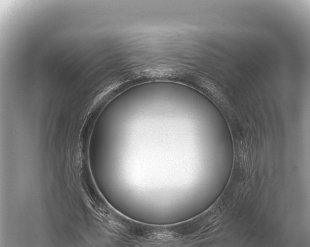 X0000060230583200510311550