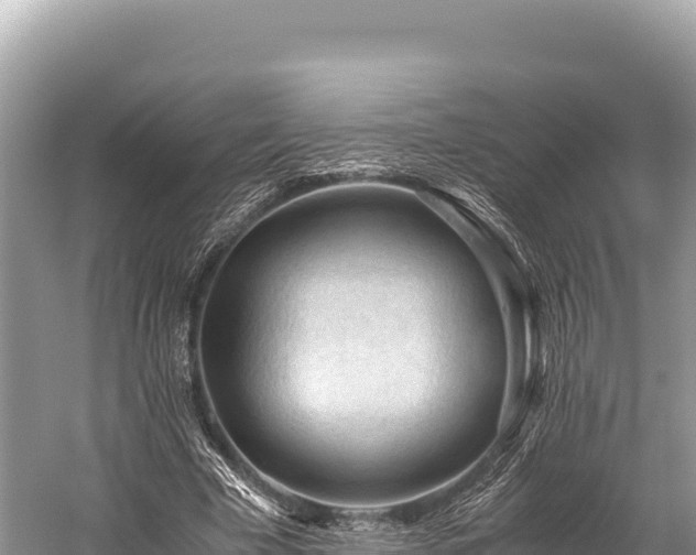 X0000060230585200510311550