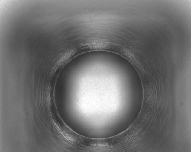 X0000060230586200510311550