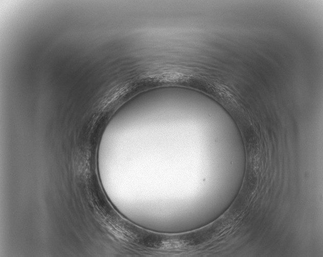 X0000060230591200510311549