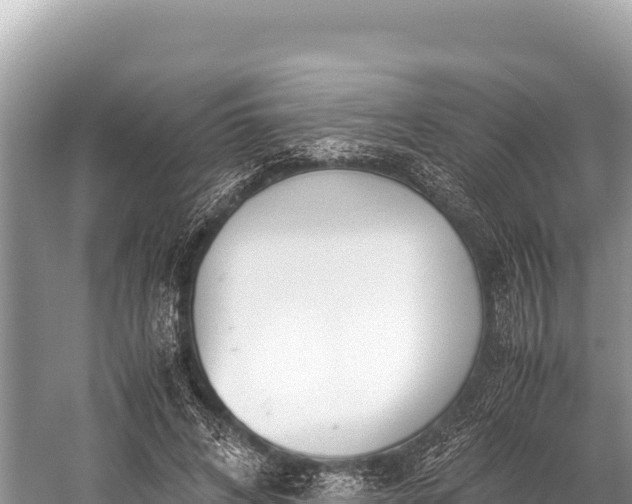 X0000060230592200510311549