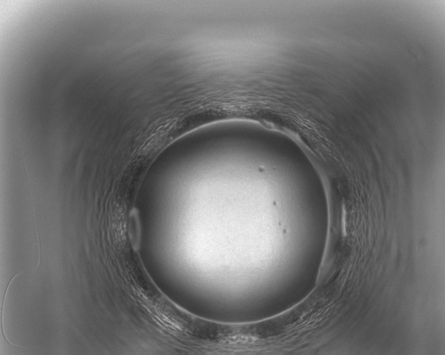 X0000060230593200510311549