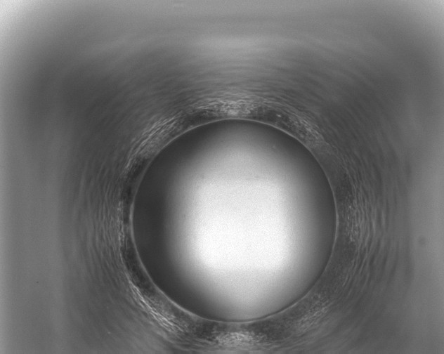 X0000060230594200510311549