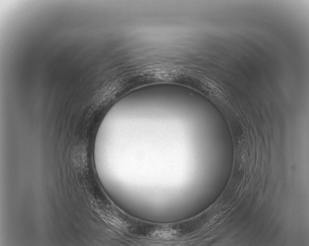 X0000060230595200510311549