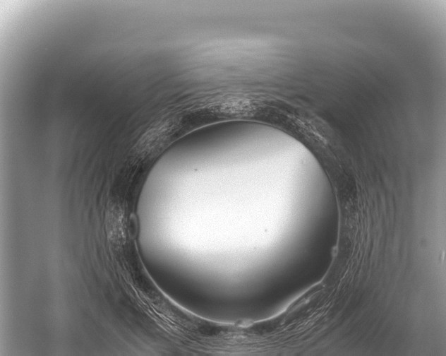 X0000060230597200510311549