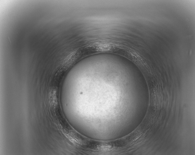 X0000060230598200510311549