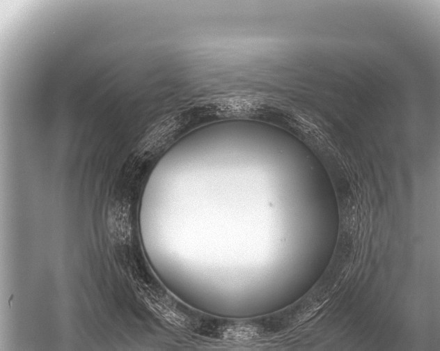 X0000060230599200510311549