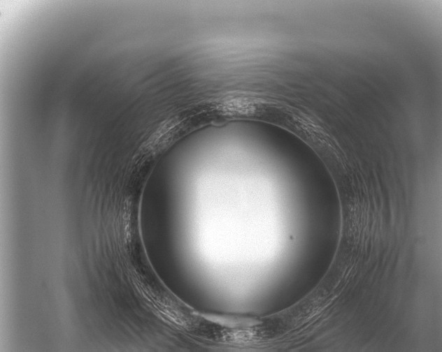 X0000060230600200510311549