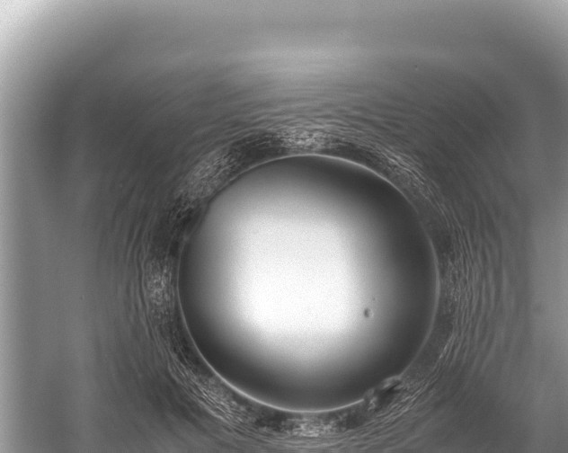 X0000060230601200510311549