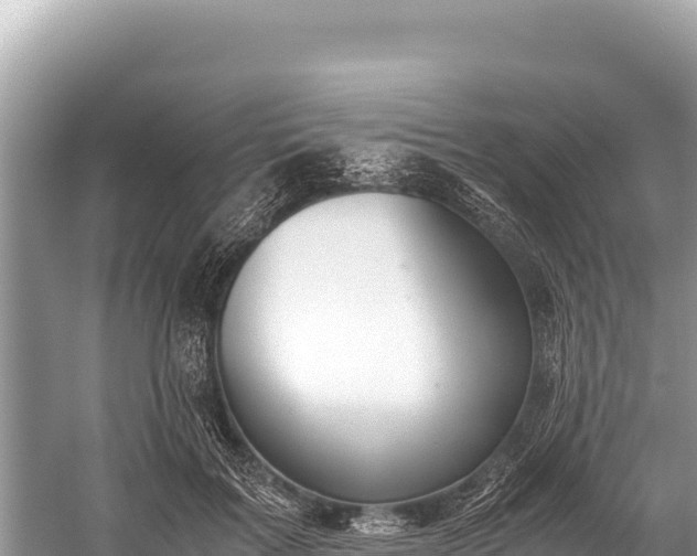 X0000060230603200510311549