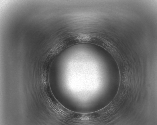 X0000060230604200510311549