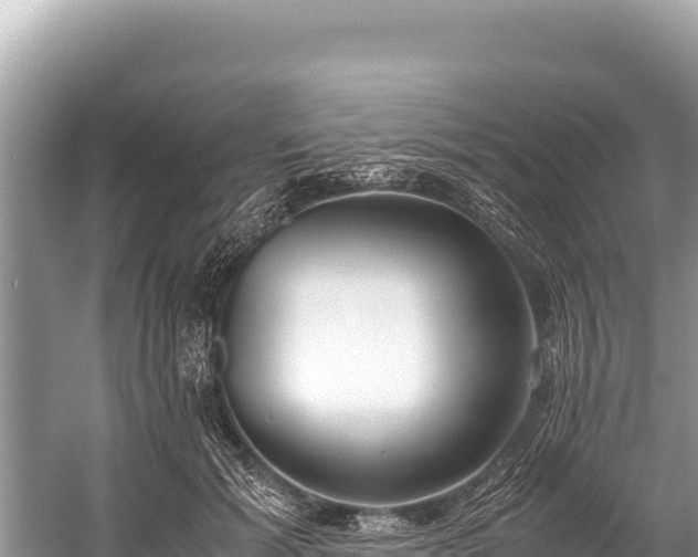 X0000060230605200510311549