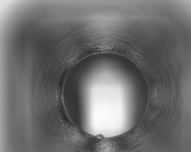 X0000060230608200510311549