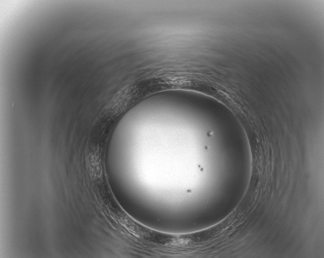 X0000060230609200510311549