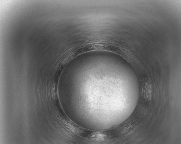 X0000060230610200510311549