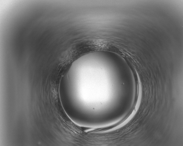 X0000060230613200510311549