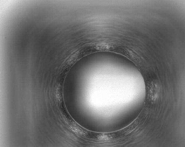 X0000060230616200510311549