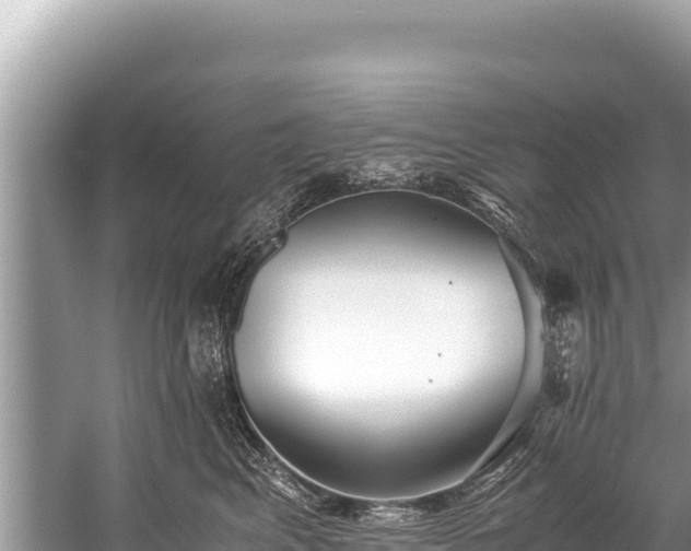 X0000060230617200510311549