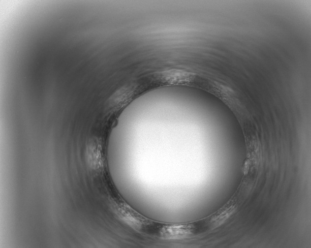 X0000060230622200510311549