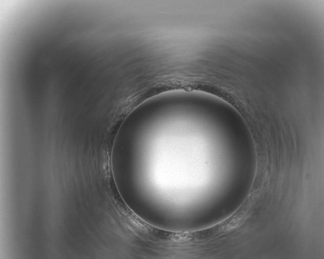 X0000060230624200510311549