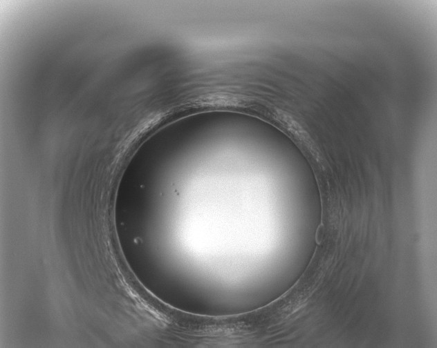 X0000060230625200510311548