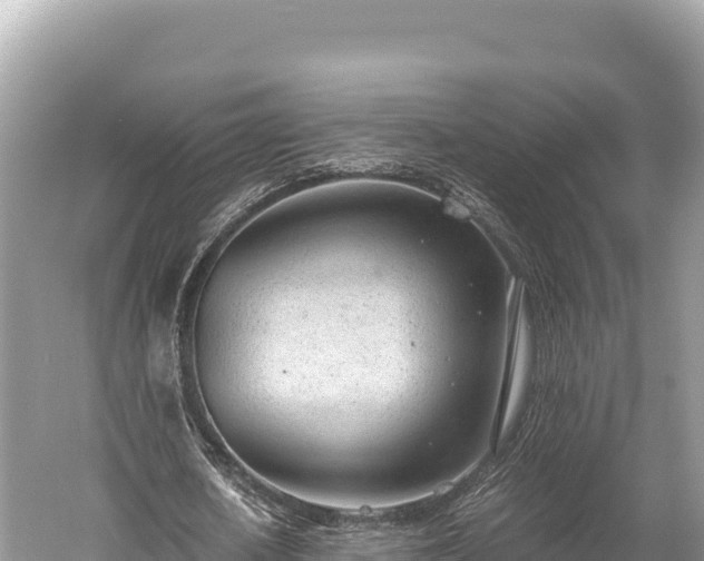 X0000060230626200510311548