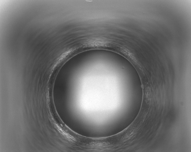 X0000060230629200510311548