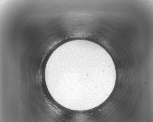 X0000060230632200510311548