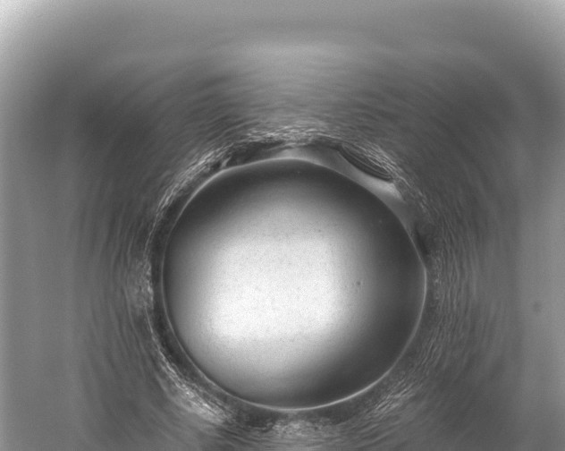 X0000060230634200510311548