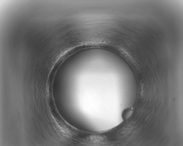 X0000060230636200510311548