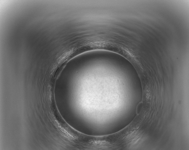 X0000060230637200510311548