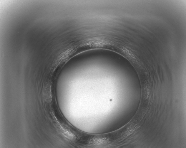 X0000060230638200510311548