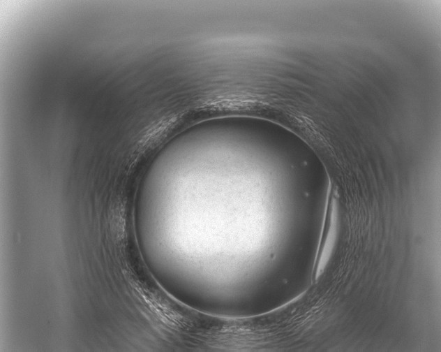 X0000060230640200510311548