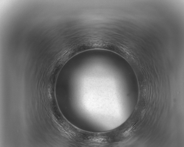 X0000060230643200510311548