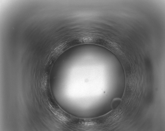 X0000060230645200510311548