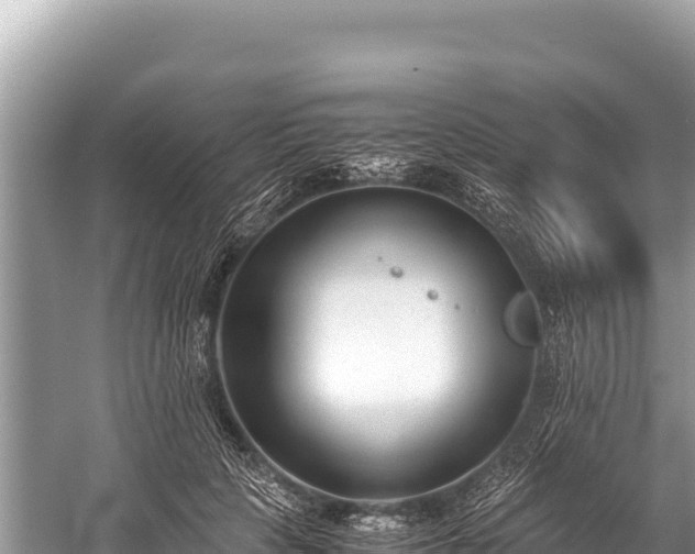 X0000060230649200510311548