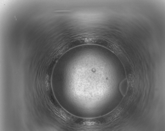 X0000060230650200510311549