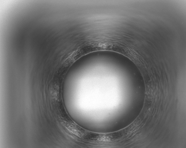 X0000060230656200510311549