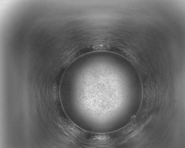 X0000060230659200510311549