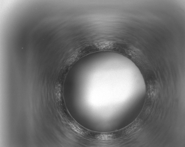 X0000060230664200510311549