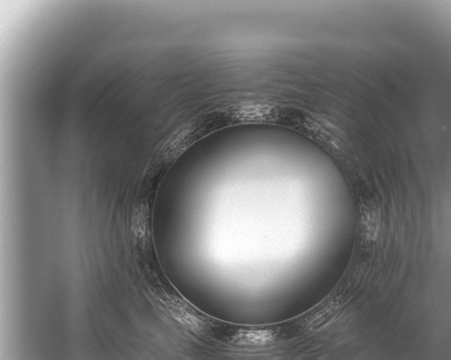 X0000060230665200510311549