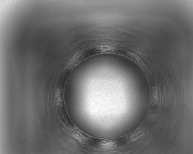 X0000060230667200510311549