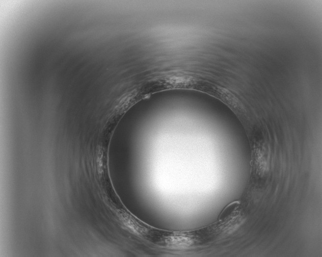 X0000060230668200510311549