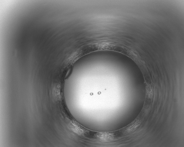 X0000060230670200510311549