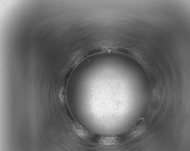 X0000060230671200510311549