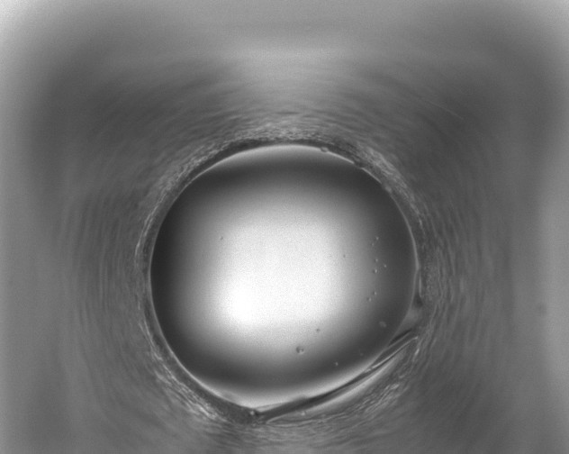 X0000060230673200510311548