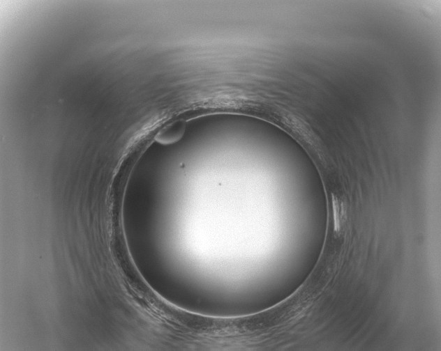 X0000060230675200510311548