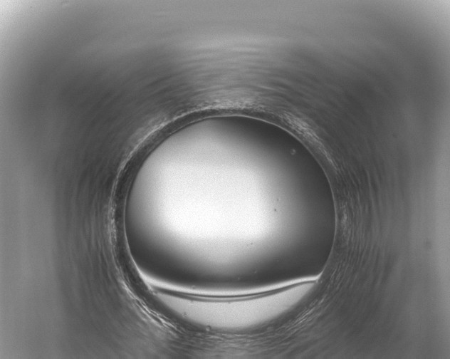 X0000060230676200510311548