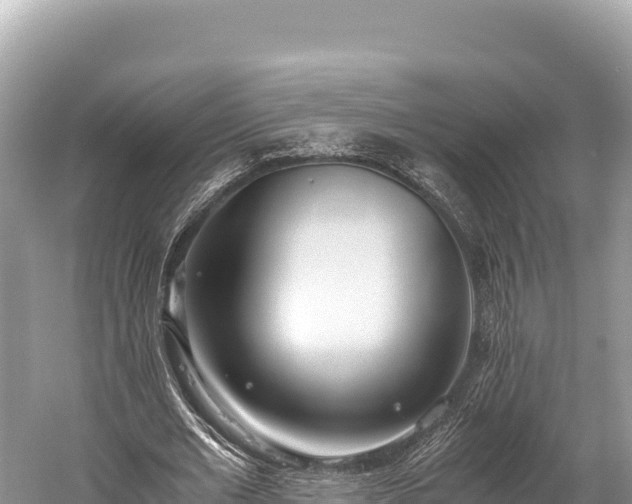 X0000060230677200510311548