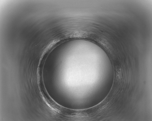 X0000060230678200510311548